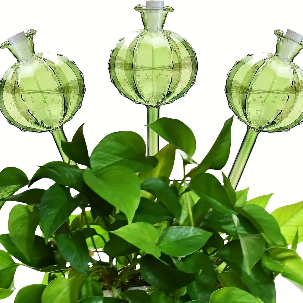 Cactus Shape Plant Self-Watering Bulbs