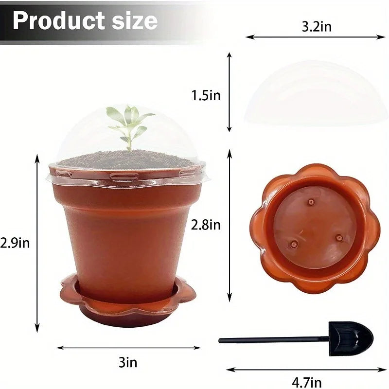 20Paper Cup Flower Pot with Humidity Cover