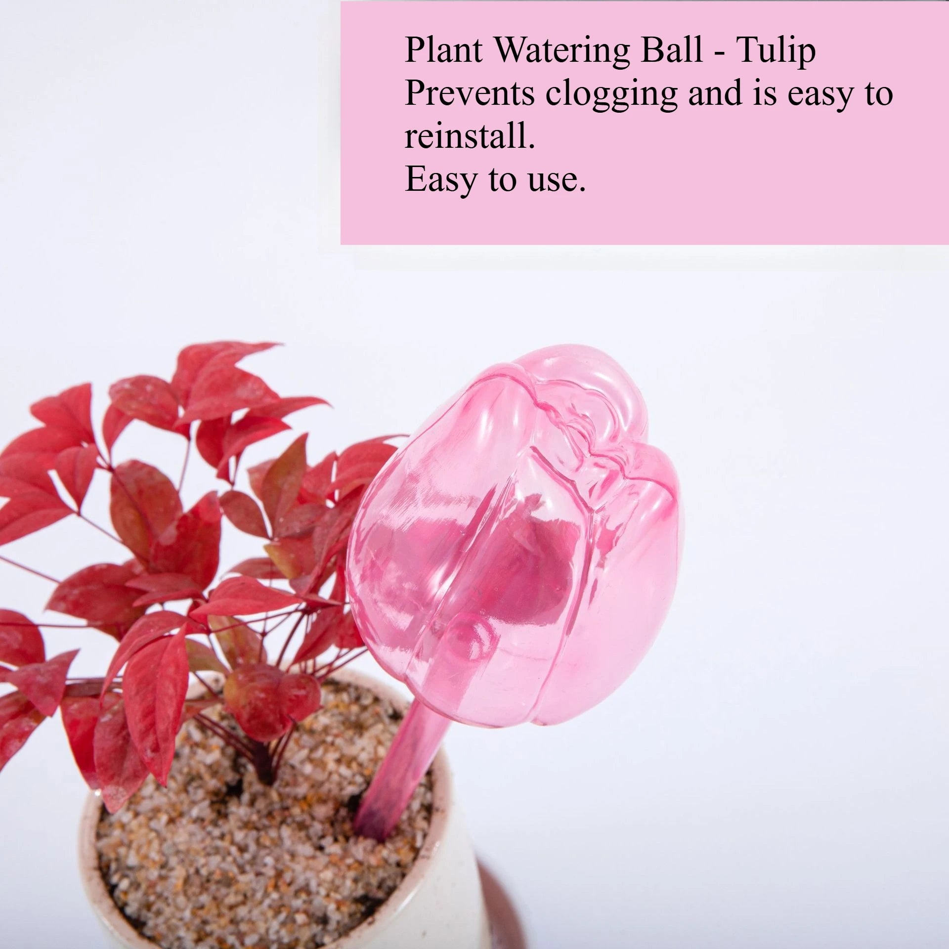 Stylish Plant Watering Solution Tulip Plant Watering Globes
