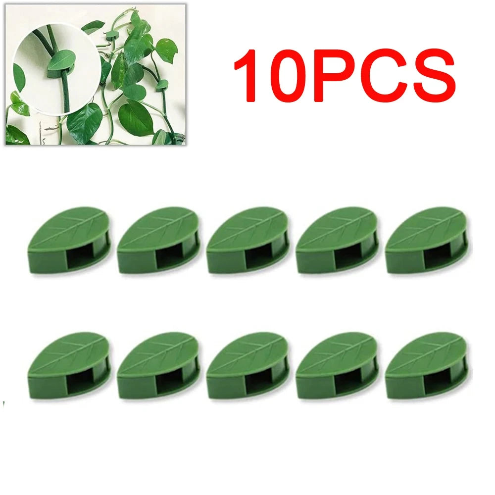 Invisible Plant Climbing Wall Fixture Clips 10-50Pcs — Plant Trellis