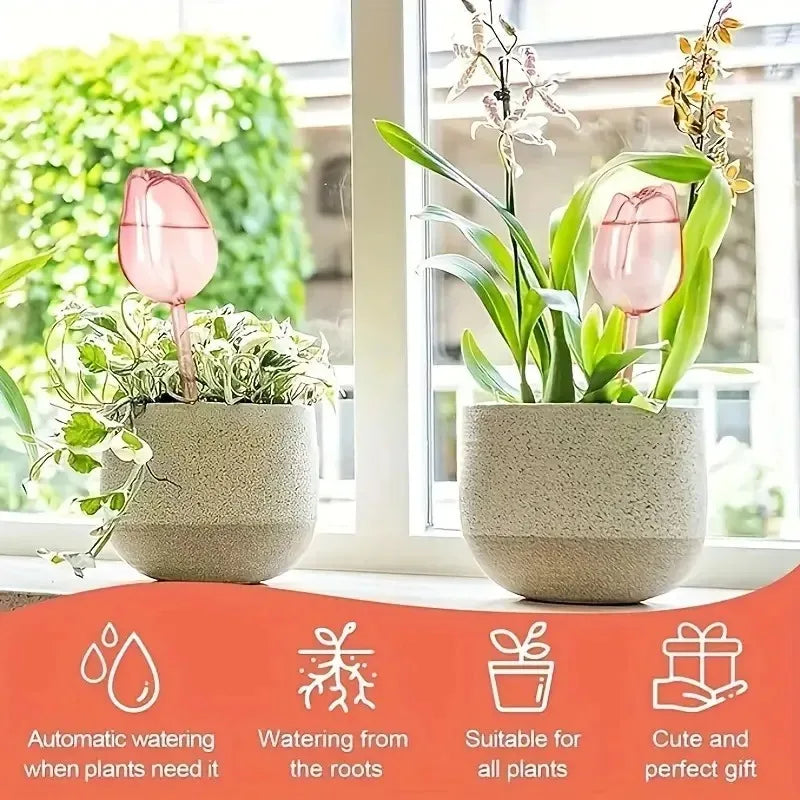 Stylish Plant Watering Solution Tulip Plant Watering Globes