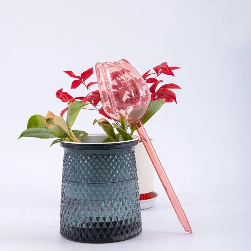 Stylish Plant Watering Solution Tulip Plant Watering Globes