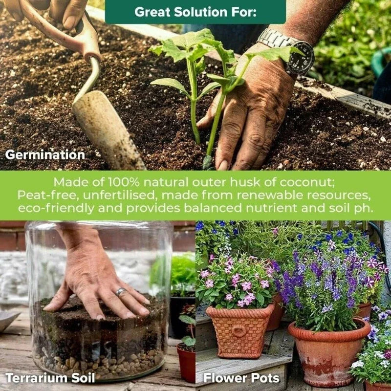 600g Top-Quality Organic Soilles Cultivation Nutrient Soil