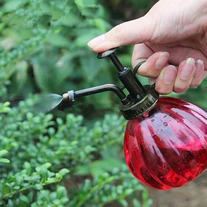 Glass Watering Can Pot Vintage Plant Mister Pressure