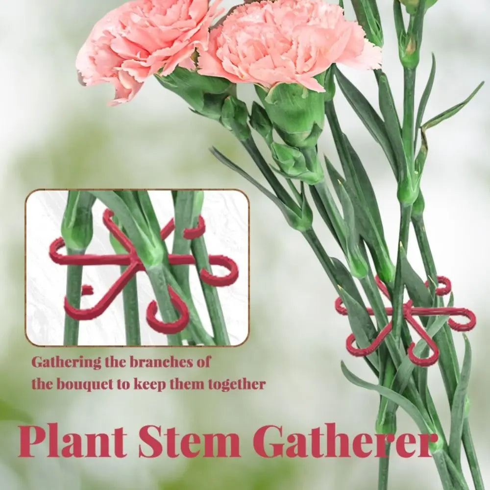 Reusable Plant Stem Folding Frame No Stake Trellis
