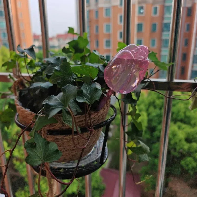 Stylish Plant Watering Solution Tulip Plant Watering Globes