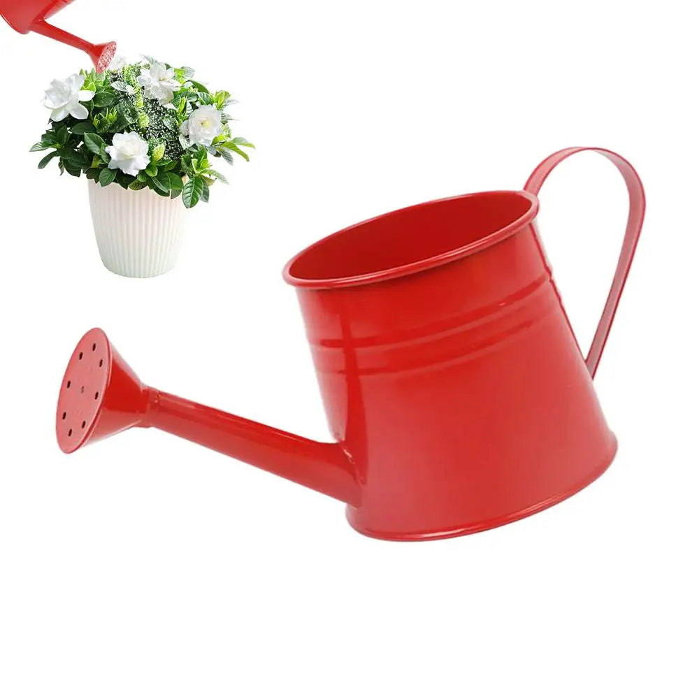 Small Watering Can For Indoor Plants 1L Long