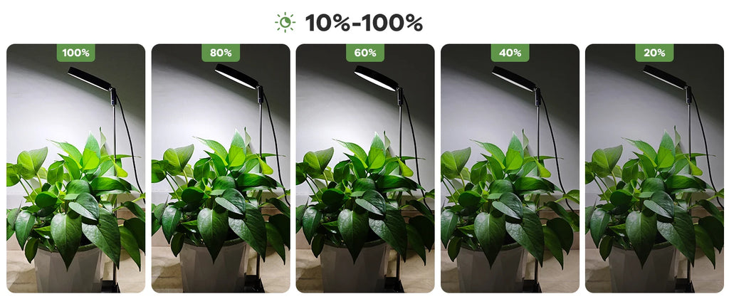 Grow Lights for Indoor Plants Full Spectrum