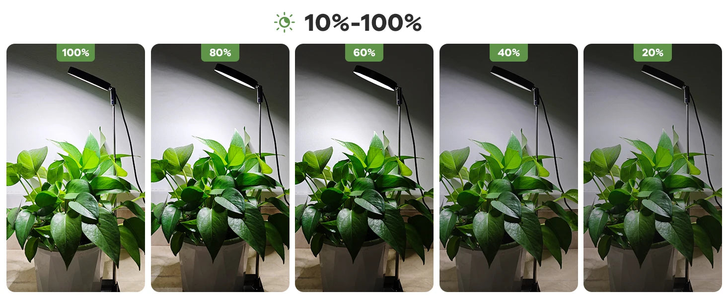 Grow Lights for Indoor Plants Full Spectrum