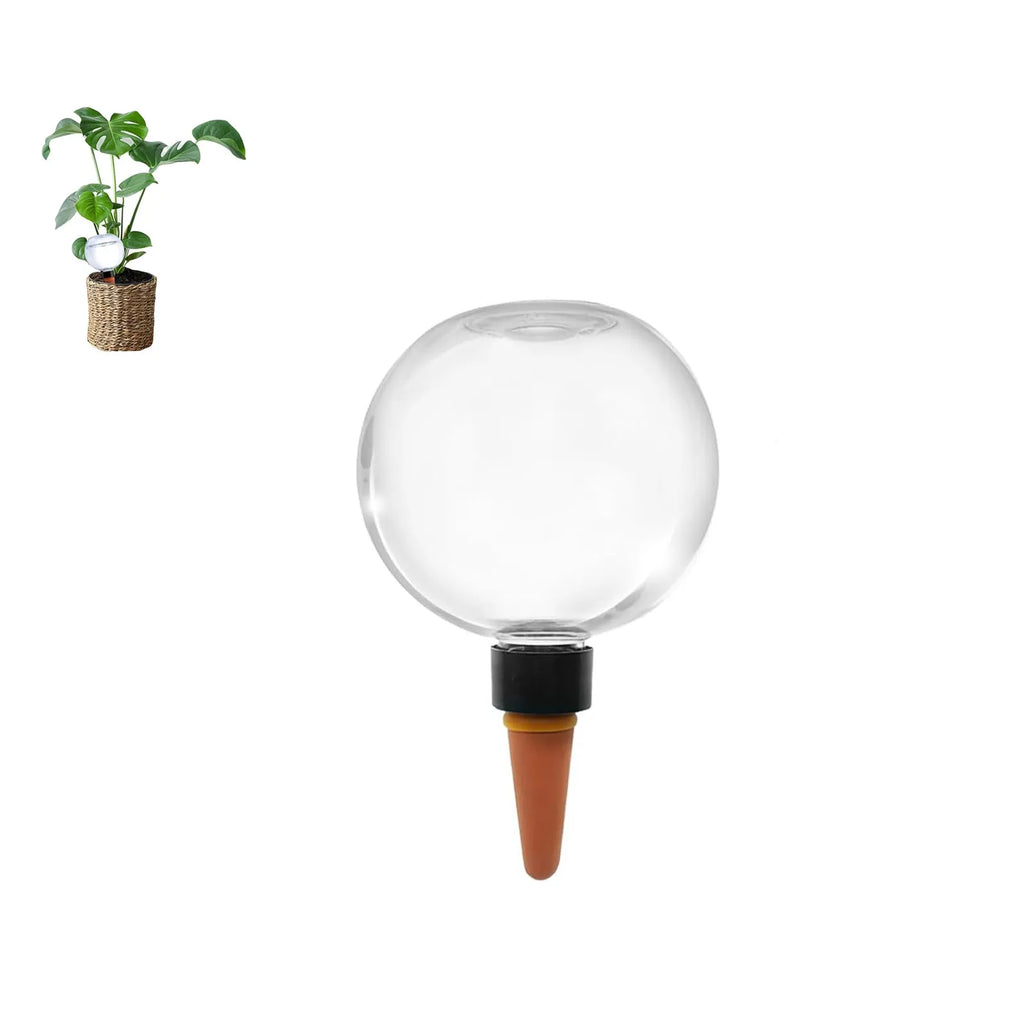 Plant Self-Watering Globe Insertable Automatic Watering Device Clear