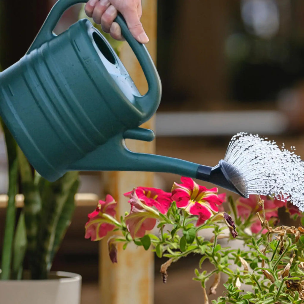 Garden Watering Can With Handle Gardening Water Can