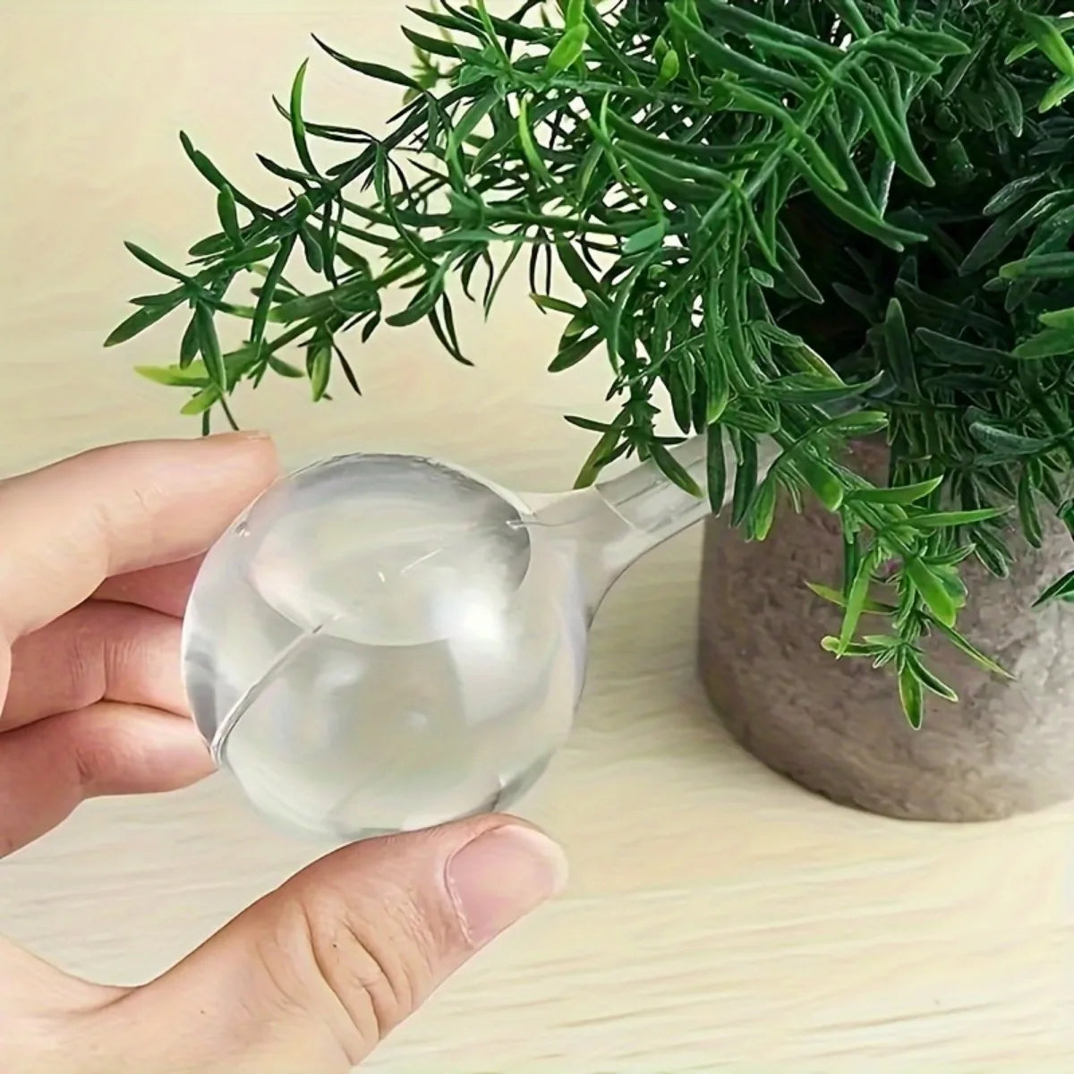 Small Plant Watering Globes Self Watering Bulbs PVC