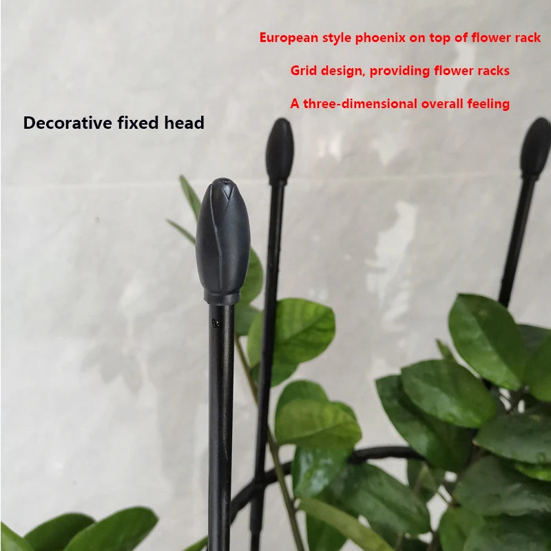 Plant Support Cages Tomato Cages For Climbing Plants