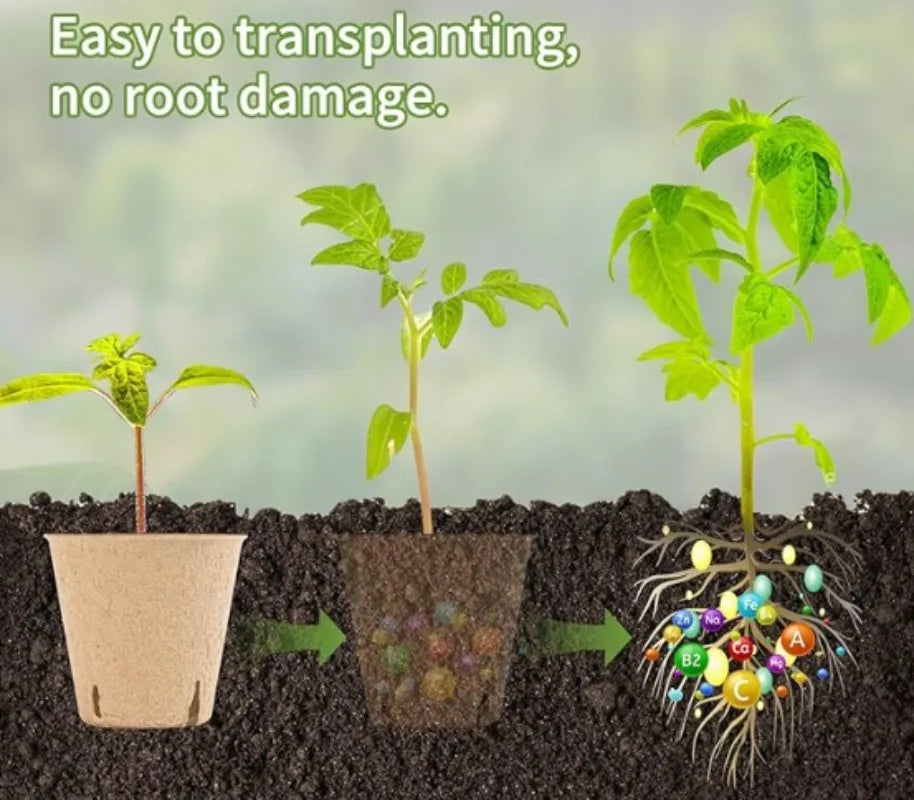 Biodegradable Garden Nursery Pots Pulp Seed Starter