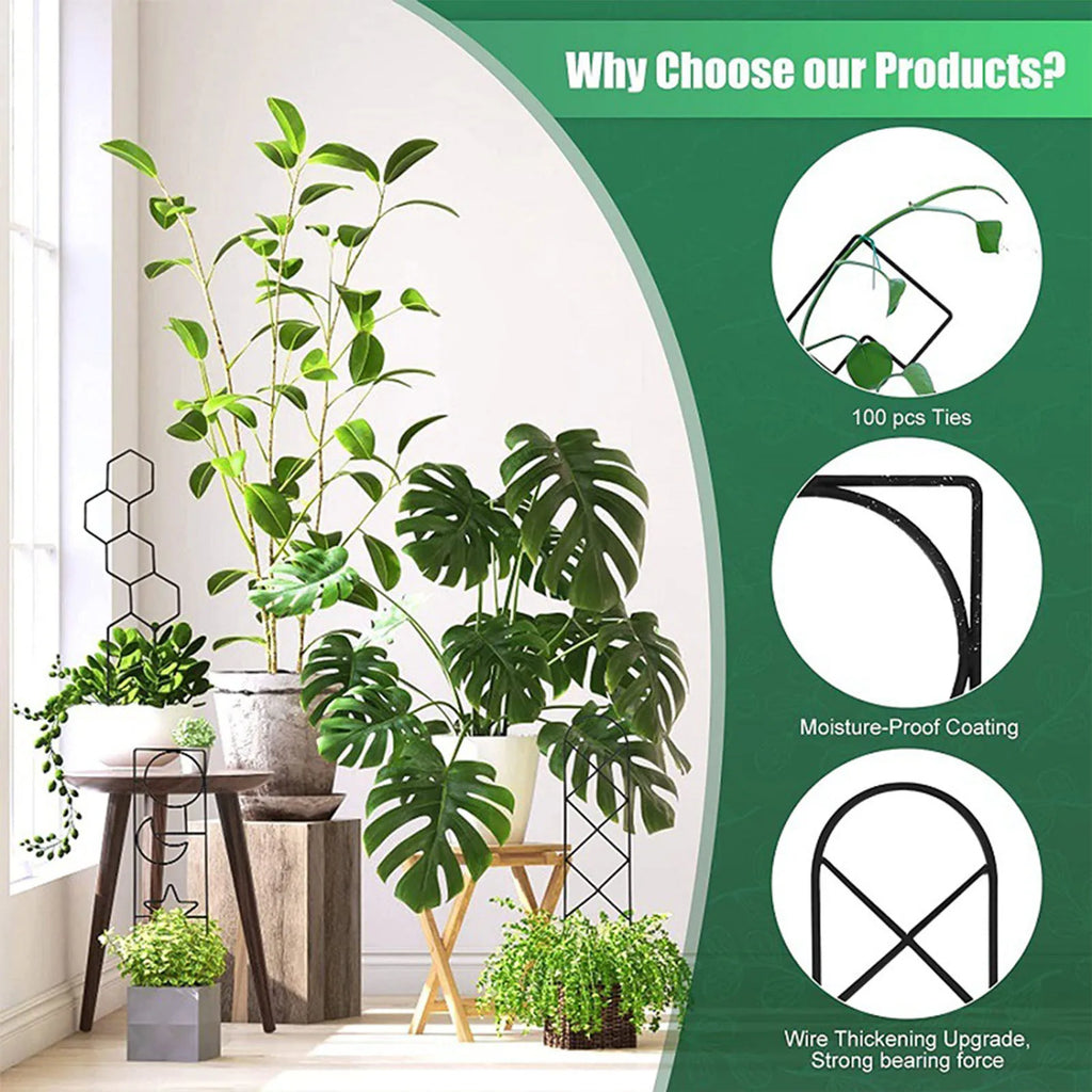 Climbing Plant Trellis Plant Support Garden Stake Stand