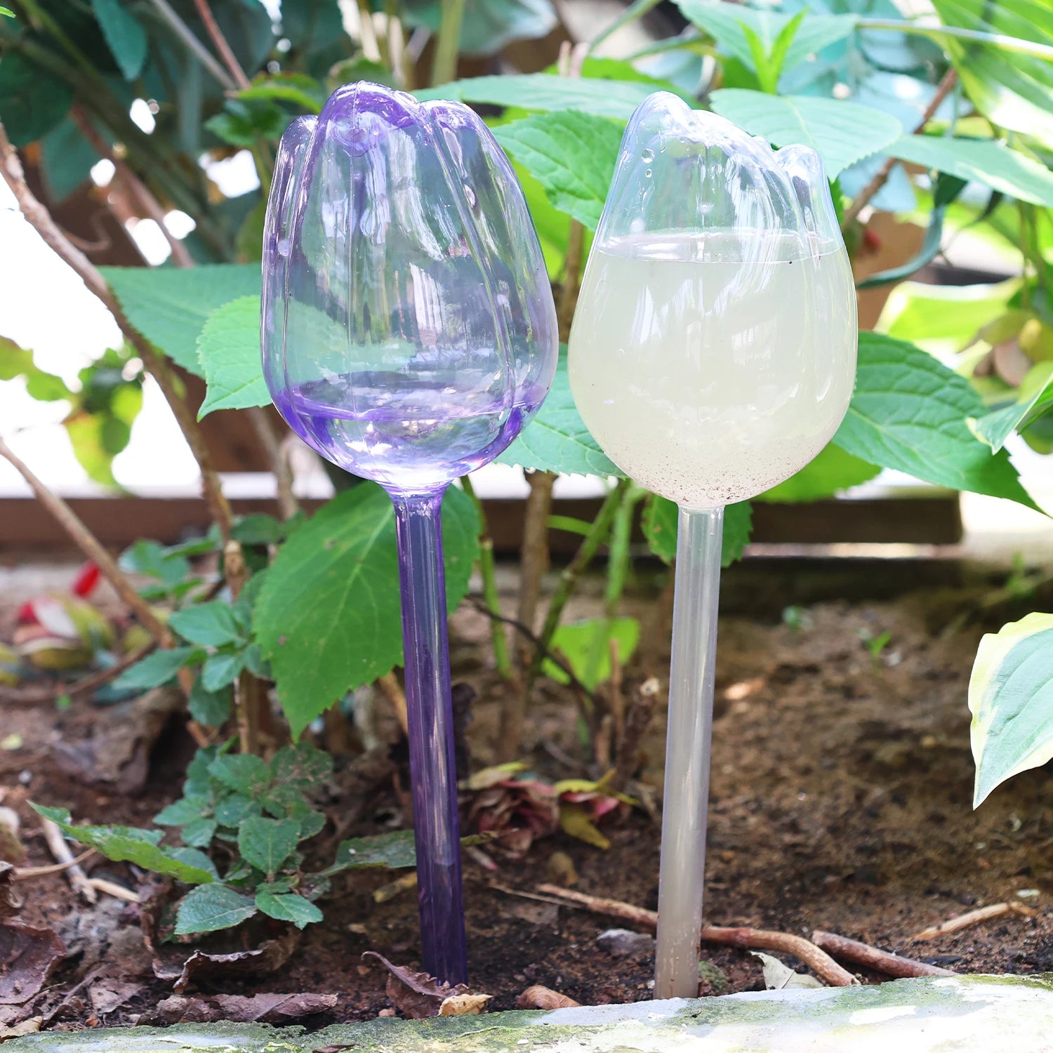 Plastic Tulip Waterer Plant Watering Globes Automatic Drip