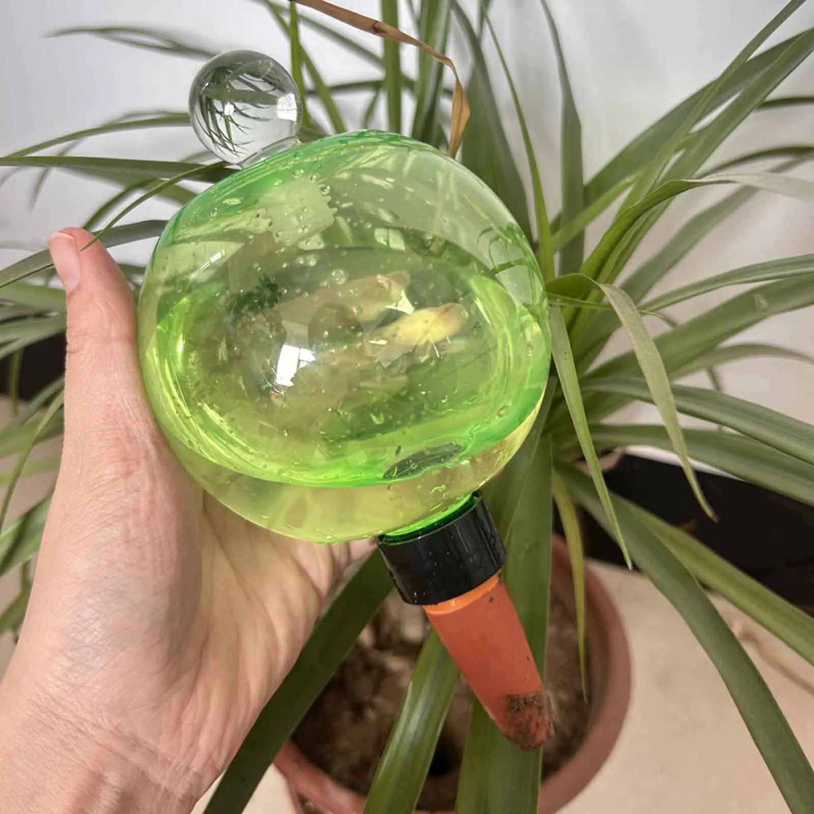 Self Watering Globes Top Fill Automatic Plant Watering