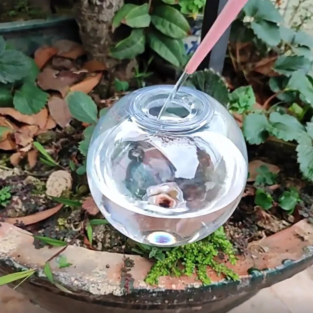 Spherical Automatic Watering Lazy Person's Flower Watering Device