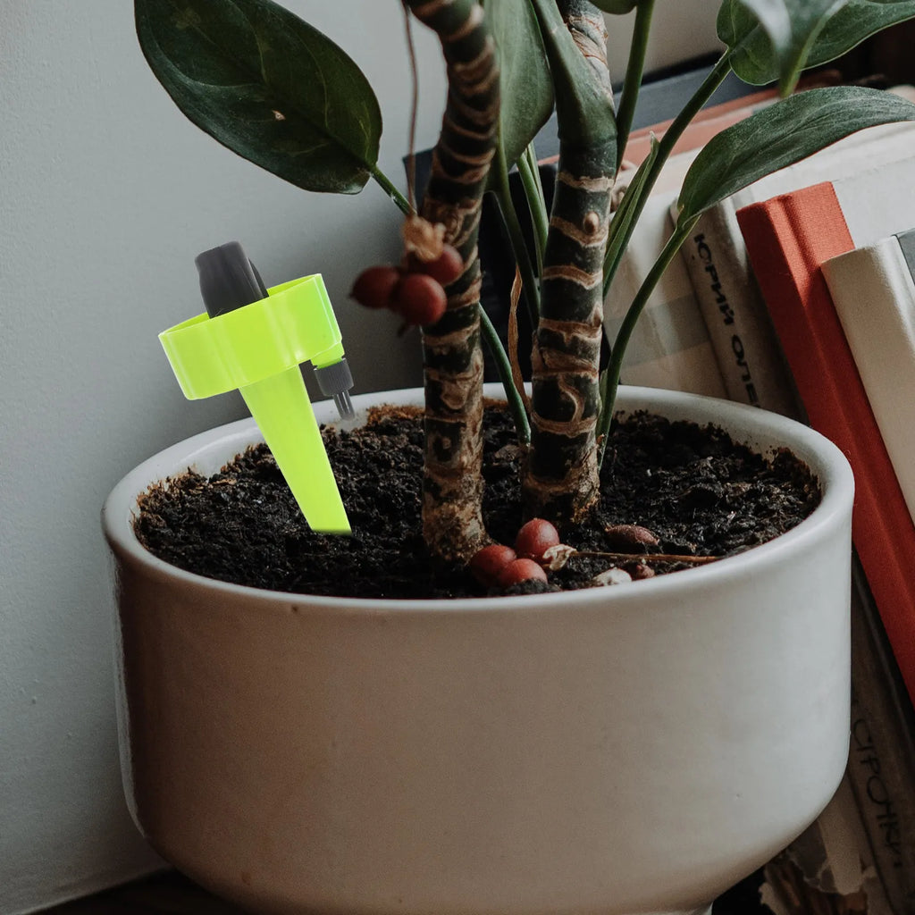 Automatic Plant Watering Globes Self Watering Spikes For