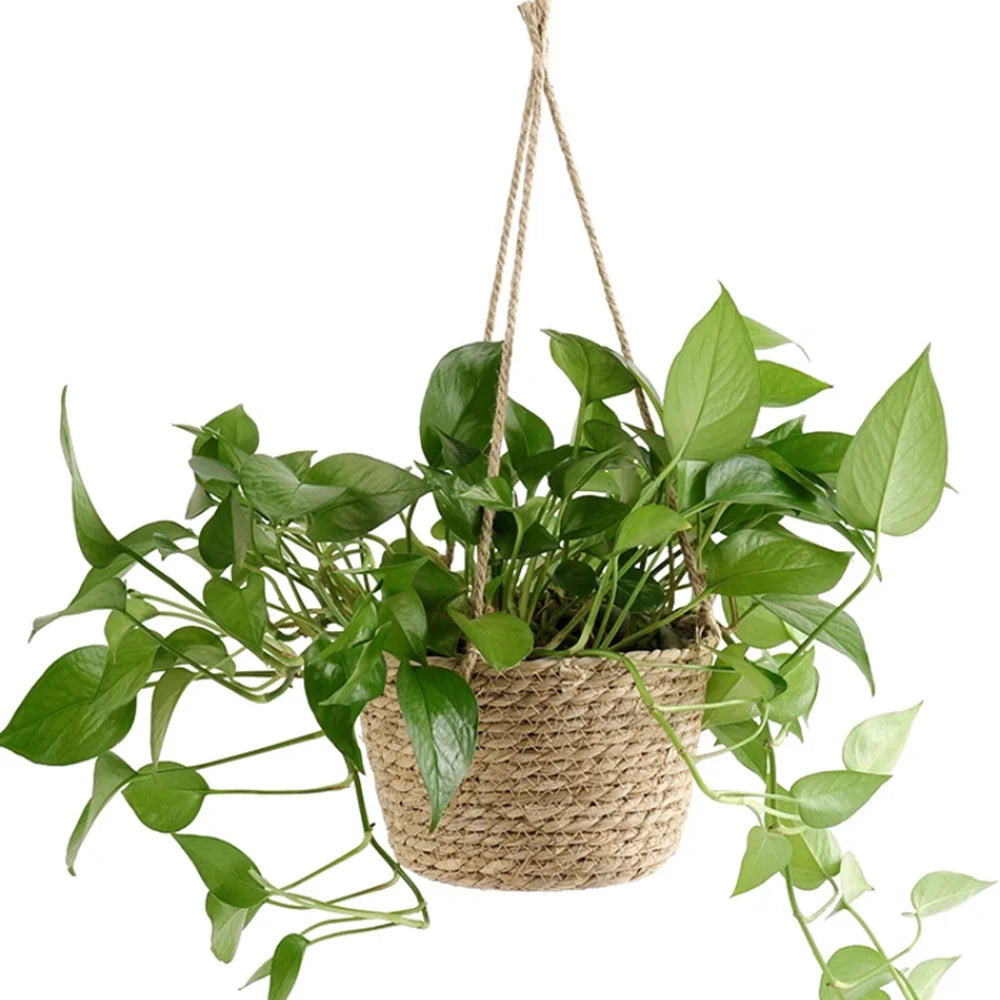 Straw Hanging Basket Planter Twine Woven Flower Basket