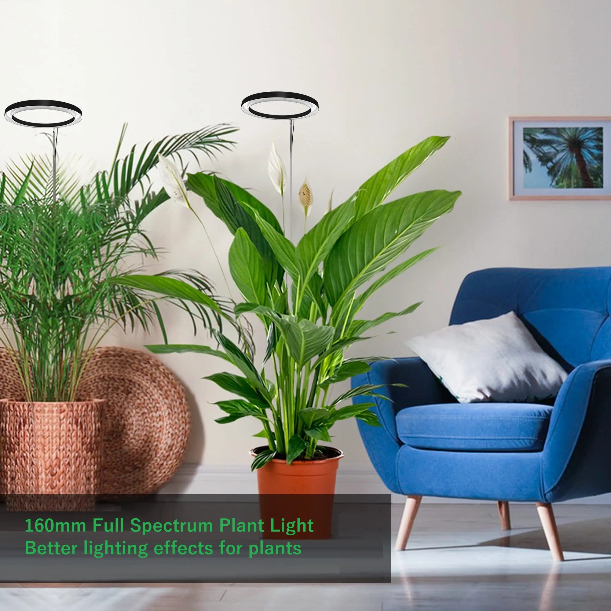 Museluce Grow Lights for Indoor Plants