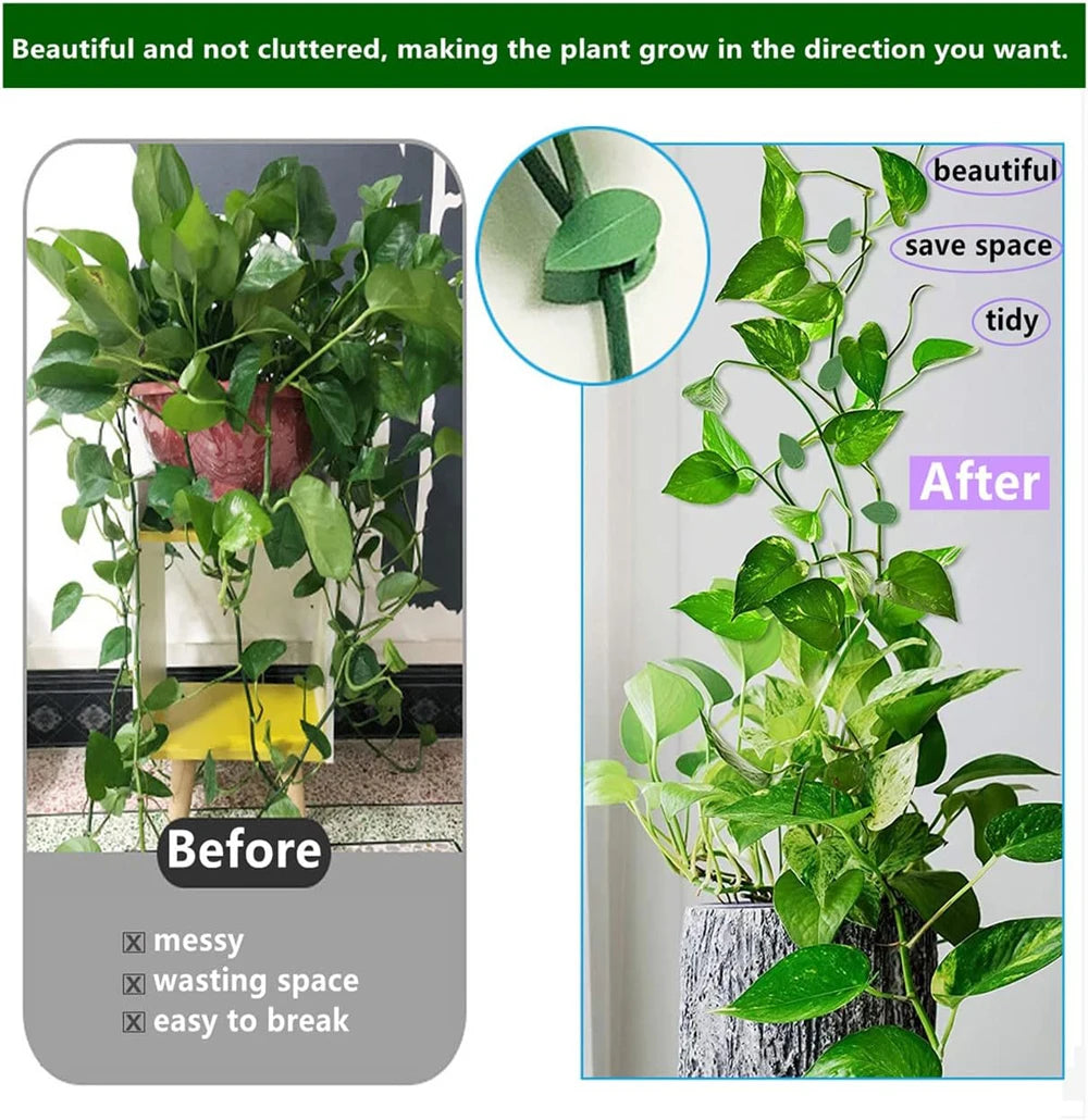 Invisible Plant Climbing Wall Fixture Clips 10-50Pcs — Plant Trellis