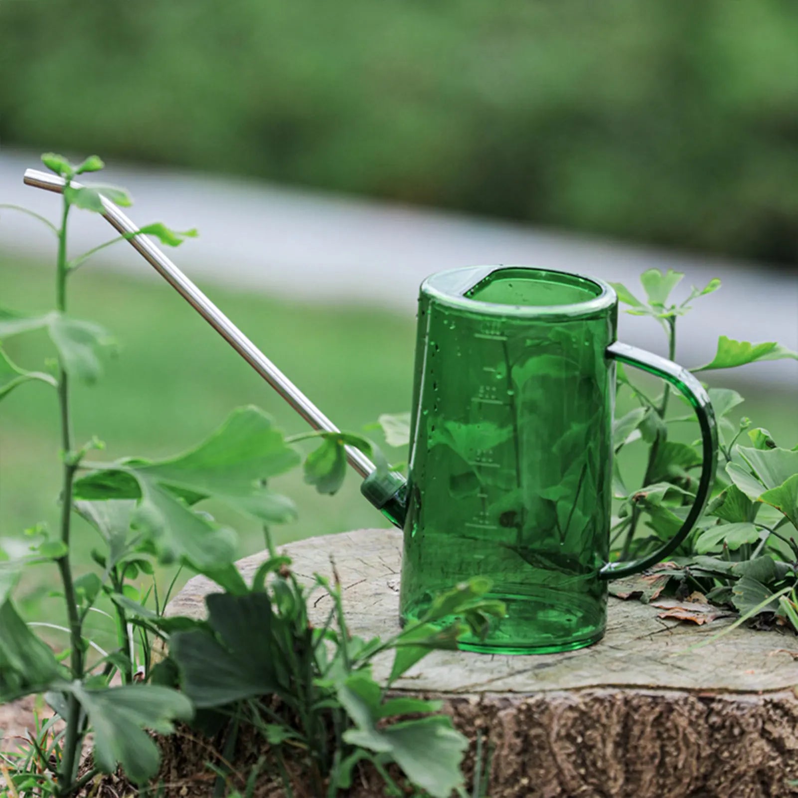 1L/1.5L Indoor Plants Watering Can Transparent Detachable Stainless