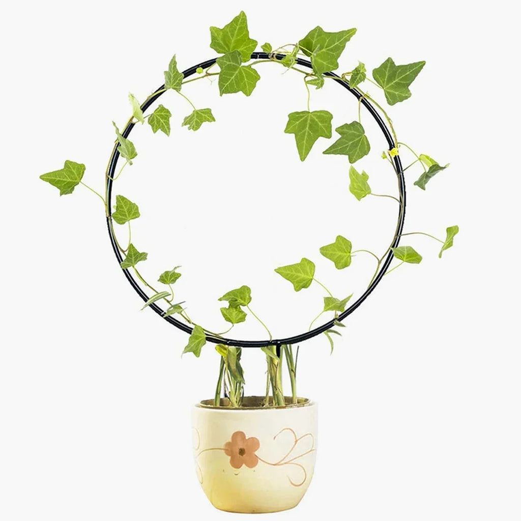 Garden Trellis Plant Iron Climbing Plant Support With
