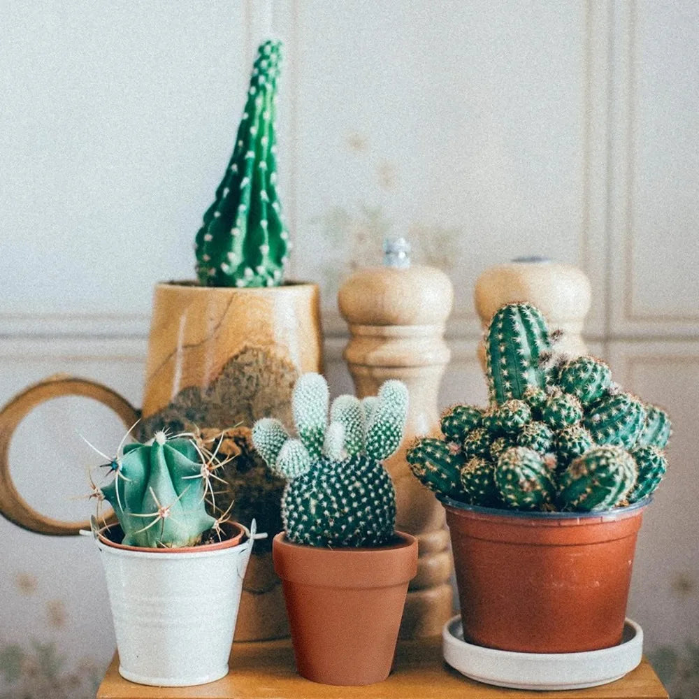 22-Pack 3 Inch Terracotta Pots with Drainage