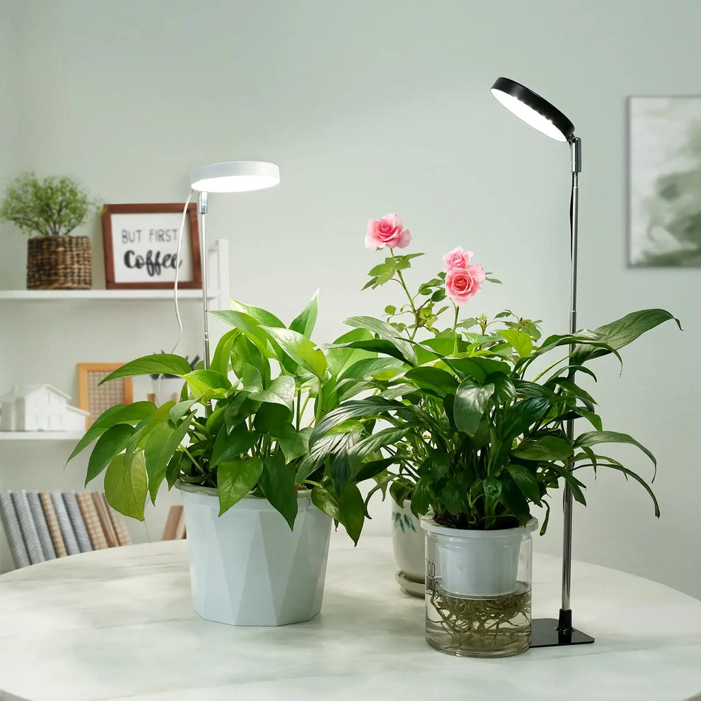 Grow Lights for Indoor Plants Full Spectrum