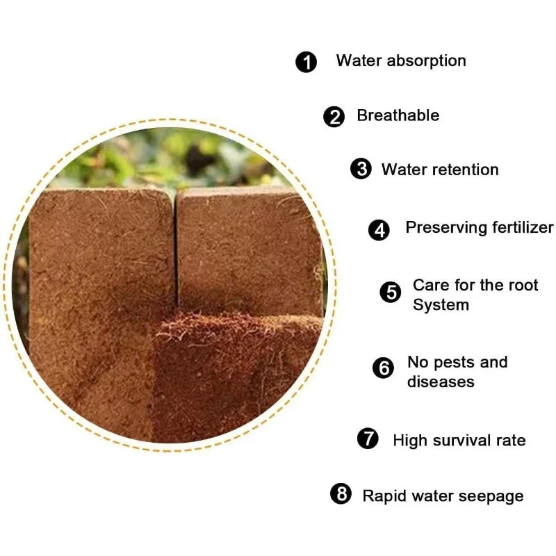 600g Top-Quality Organic Soilles Cultivation Nutrient Soil