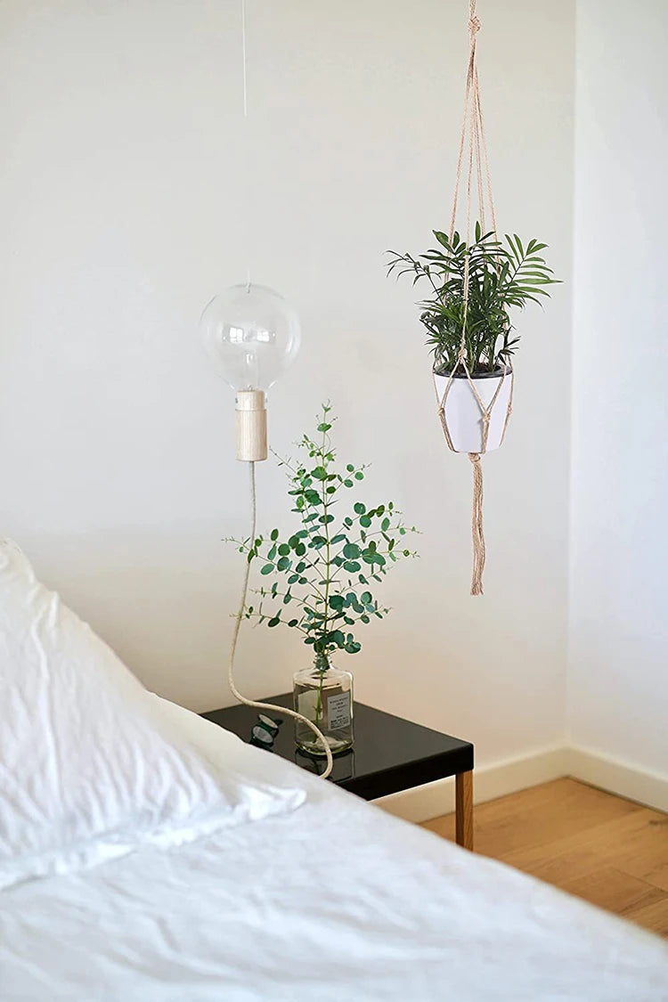 Hanging Plant Pot Hanging Basket Vases With Hook