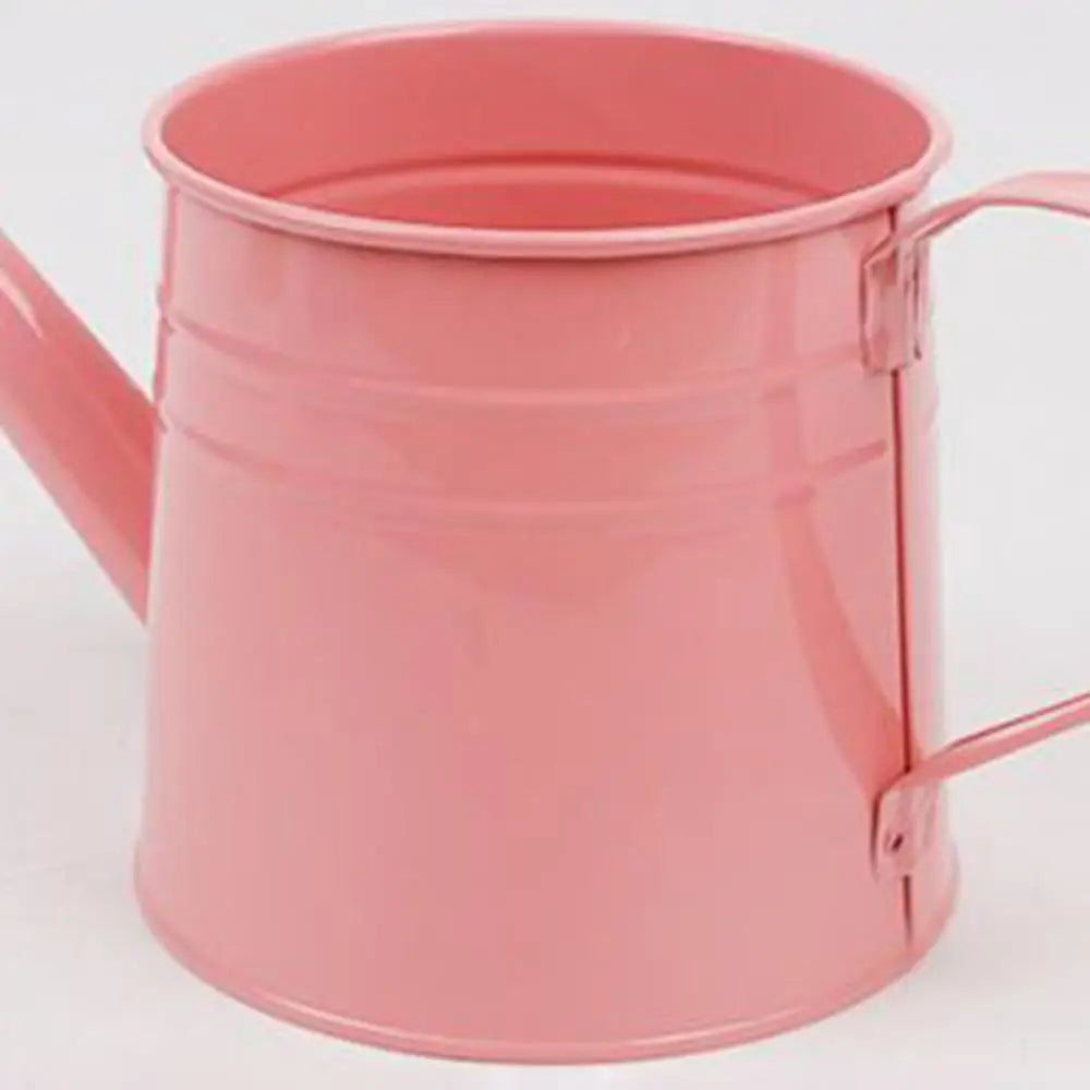Small Watering Can For Indoor Plants 1L Long
