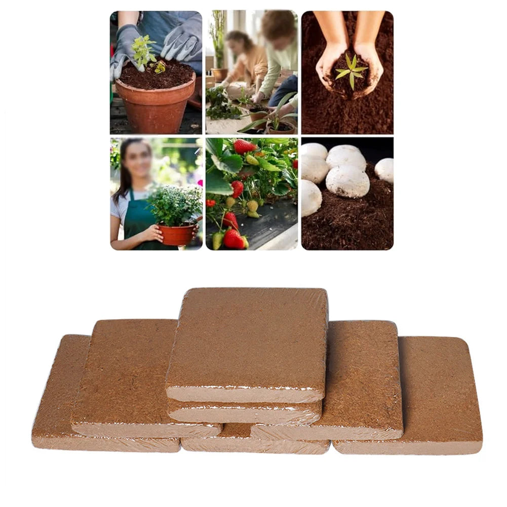 10cm Coconut Coir Soil Brick Natural Lightweight