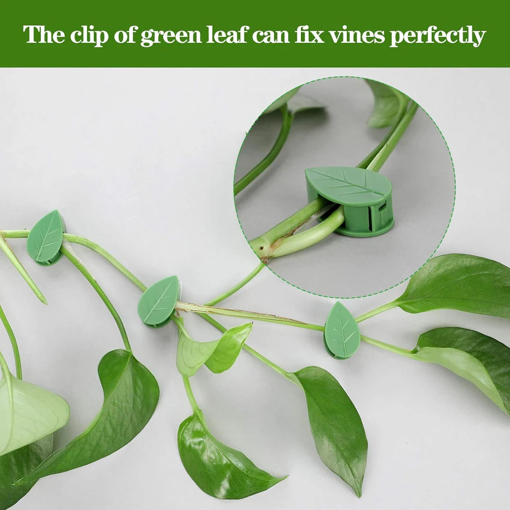Invisible Plant Climbing Wall Fixture Clips 10-50Pcs — Plant Trellis