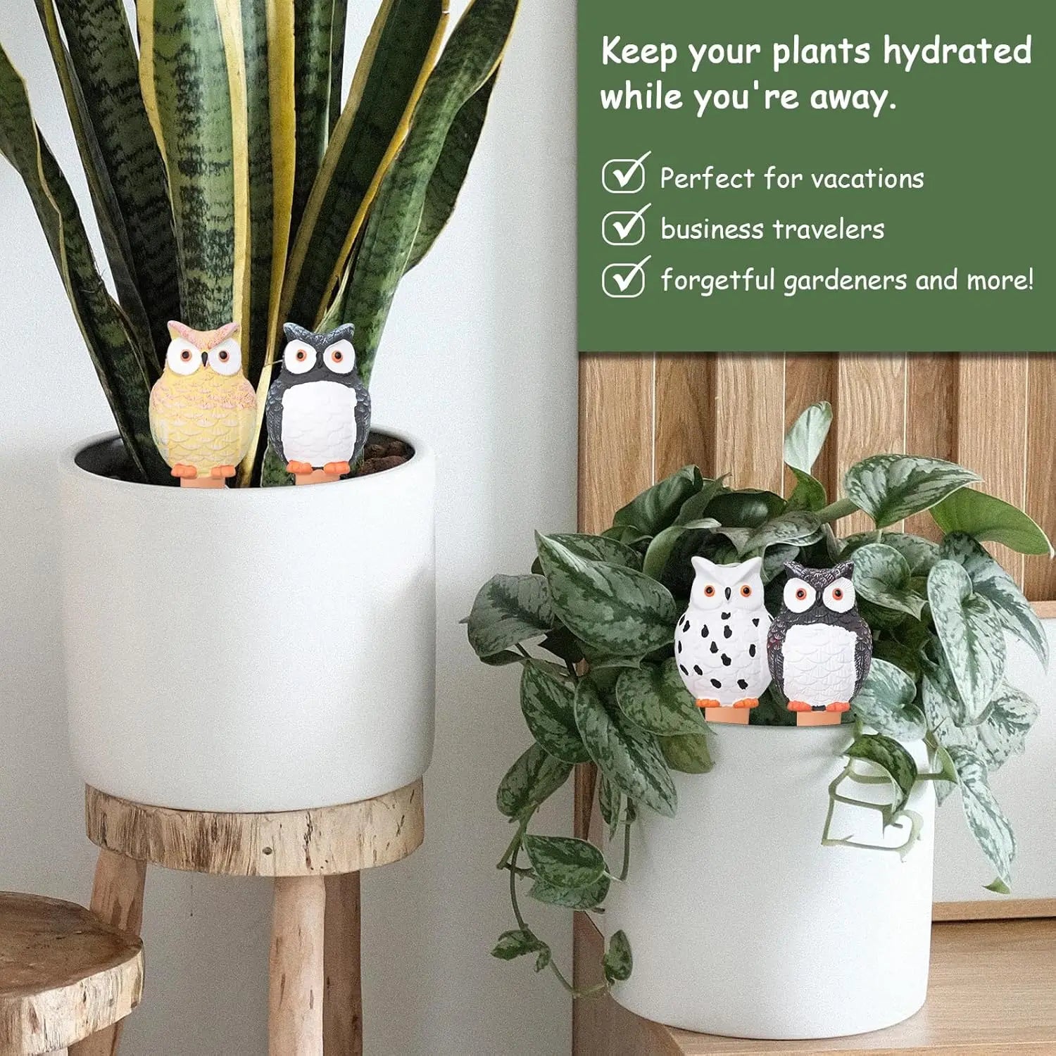 Self Plant Watering Globes Terracotta Watering Spikes Plant