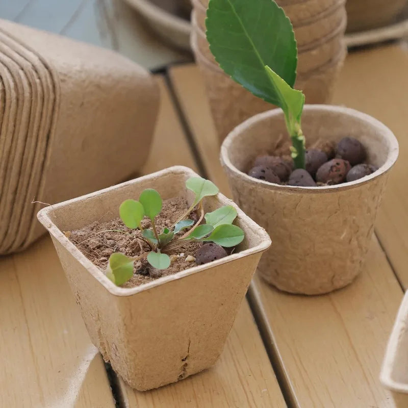 Biodegradable Garden Nursery Pots Pulp Seed Starter