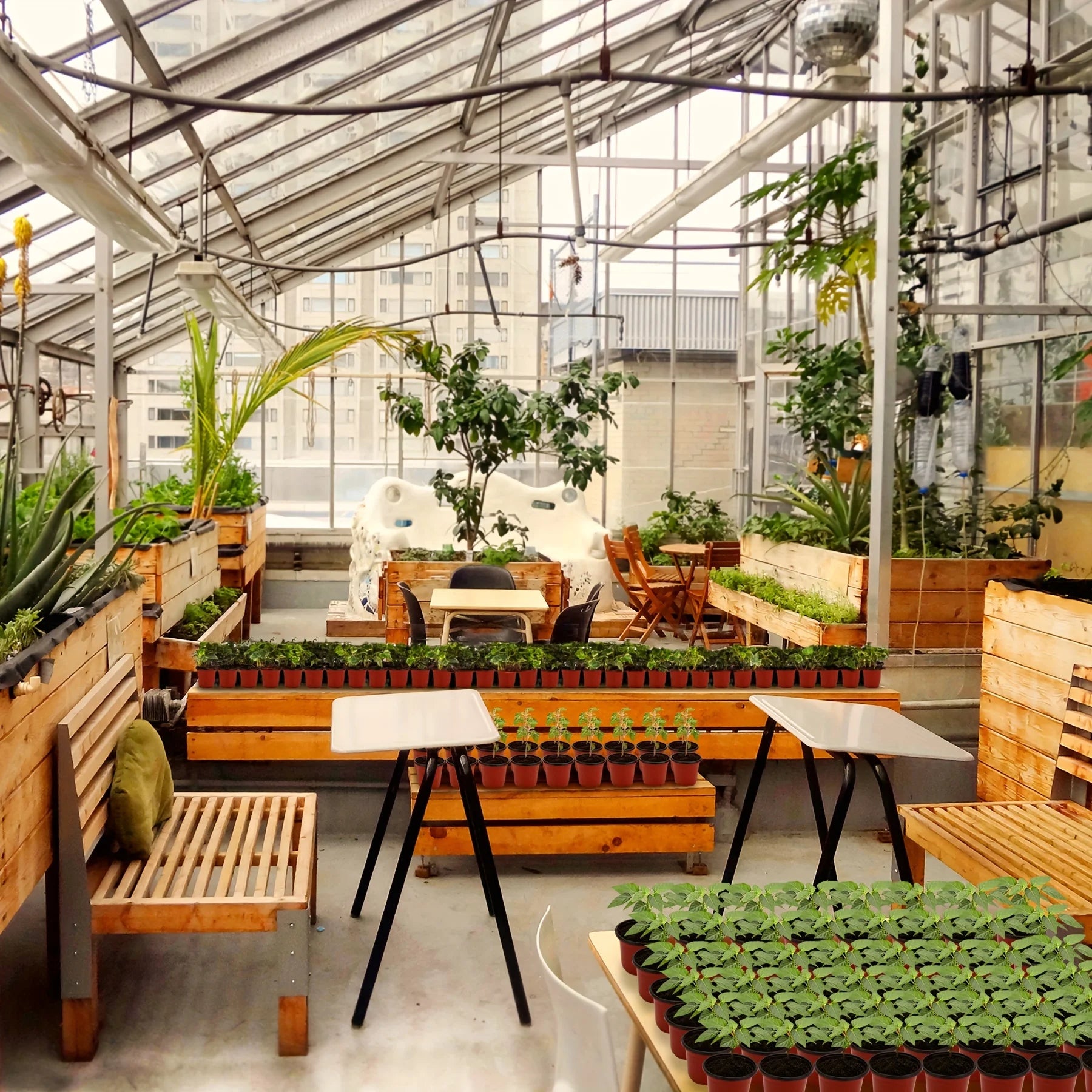 Plant Nursery Pot