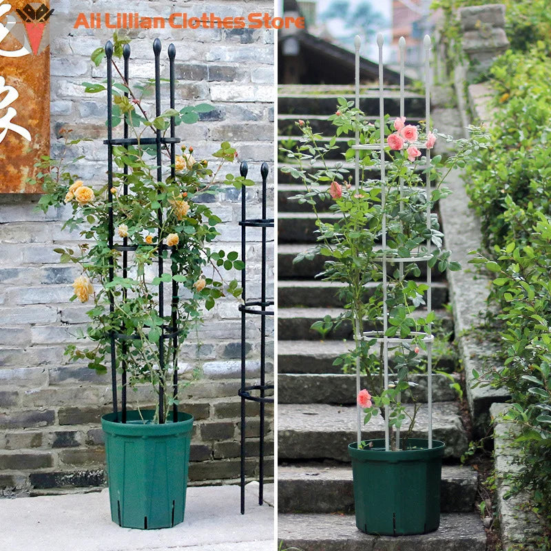 Plant Support Cages Tomato Cages For Climbing Plants