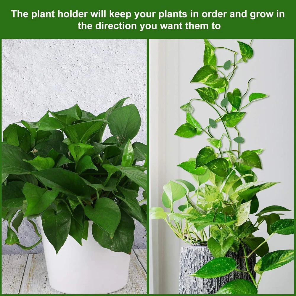 Invisible Plant Climbing Wall Fixture Clips 10-50Pcs — Plant Trellis