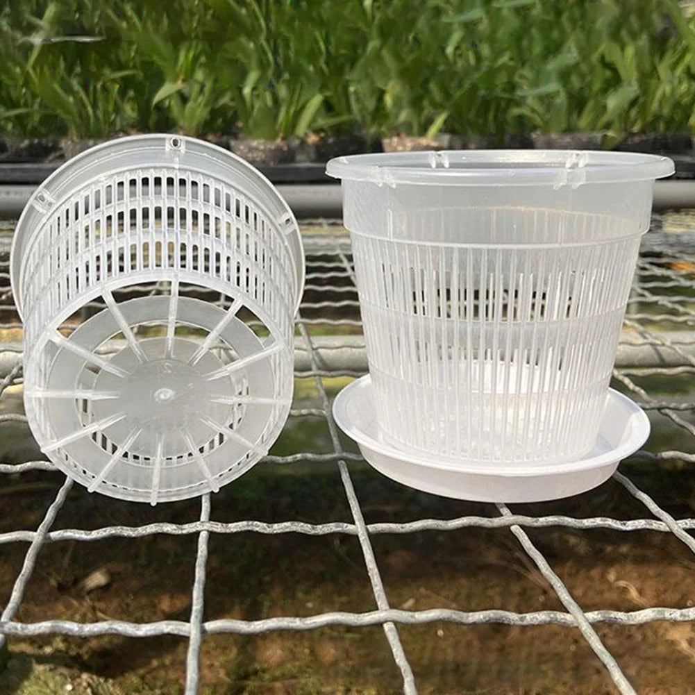 Clear Nursery Pots Garden Planting Pot Orchid