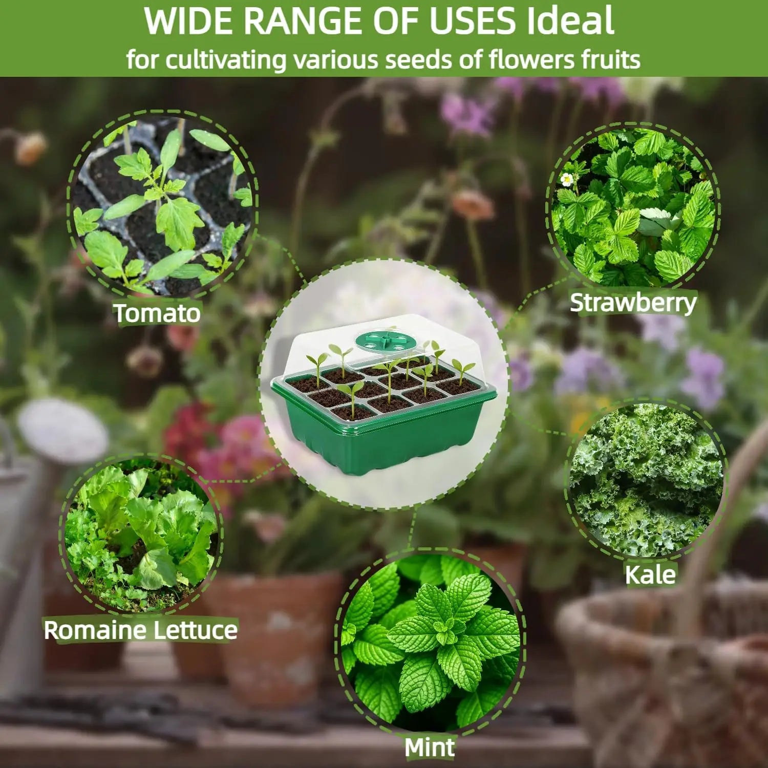 Seed Starter Tray Mini Greenhouse Germination Kit