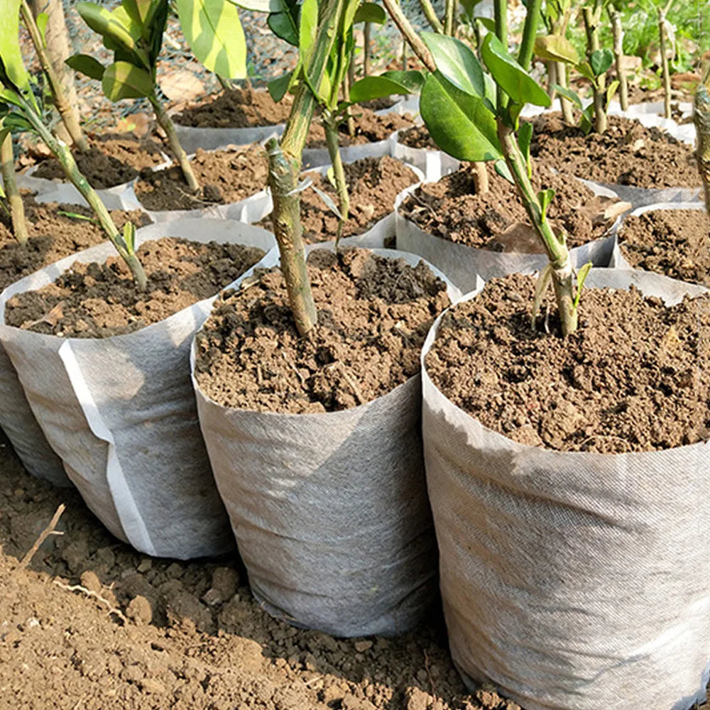 100-500Pcs Biodegradable Nursery Bag Plant Grow Bags