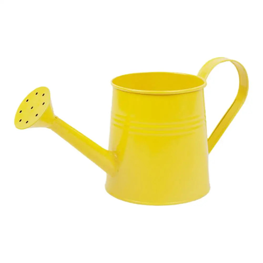 Small Watering Can For Indoor Plants 1L Long