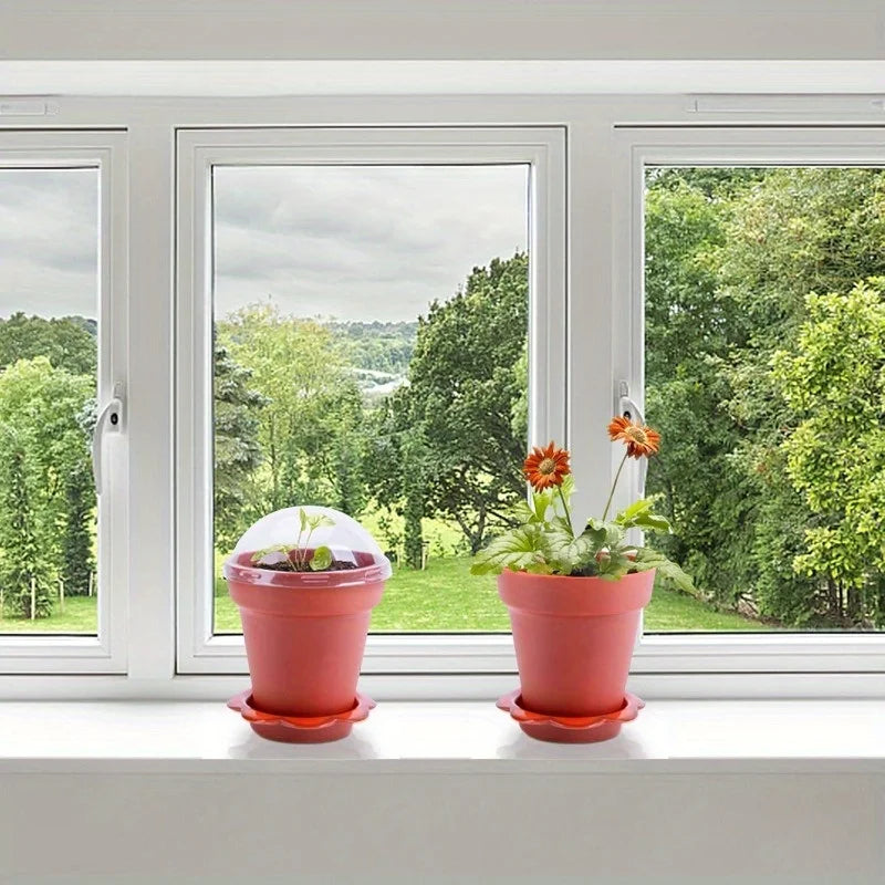 20Paper Cup Flower Pot with Humidity Cover