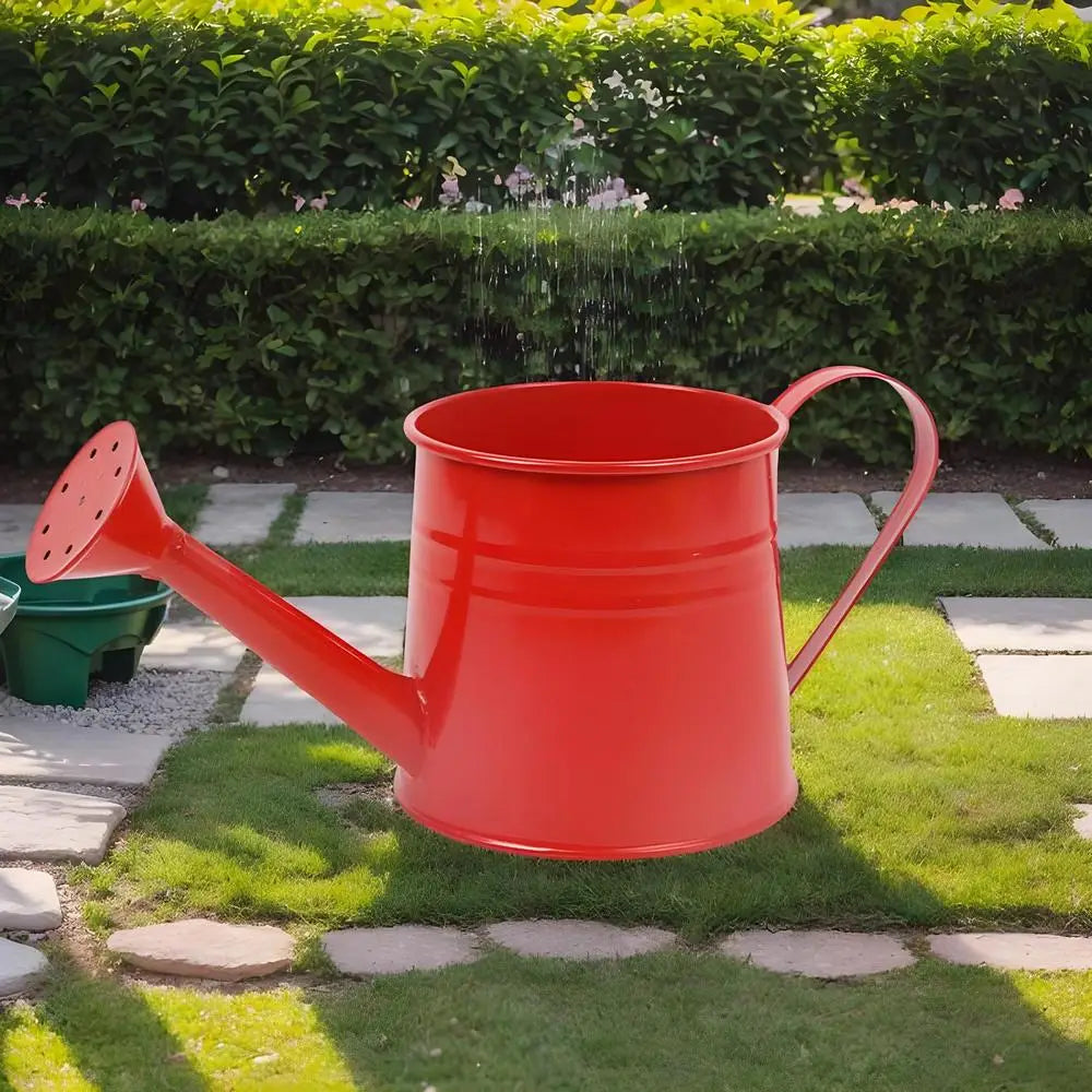 Small Watering Can For Indoor Plants 1L Long