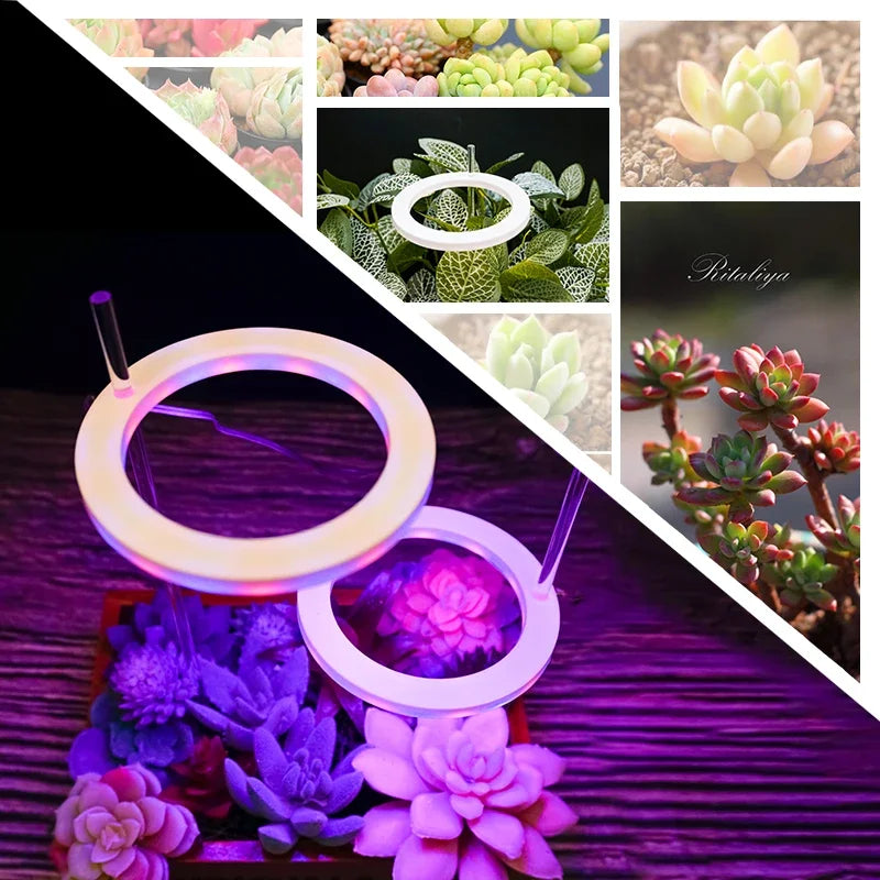 LED Ring Grow Lights Indoor Plants Full