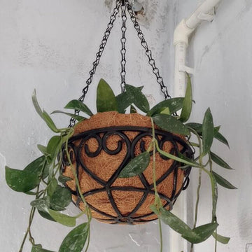 Coconut Brown Round Iron Chain Hanging Basket Flowerpot