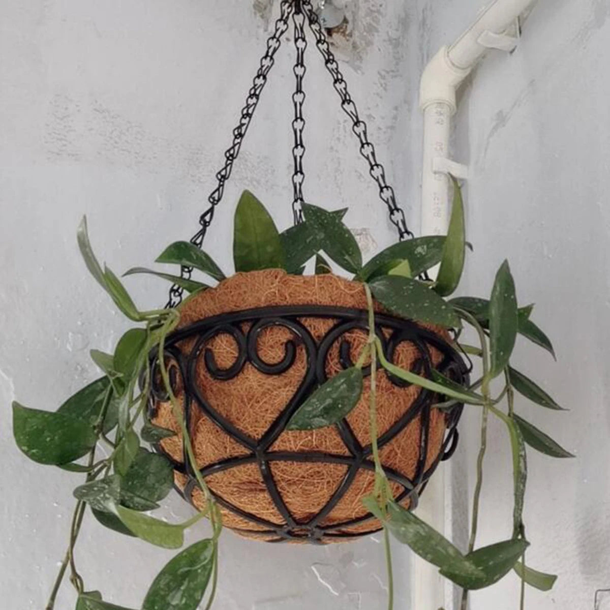 Coconut Brown Round Iron Chain Hanging Basket Flowerpot