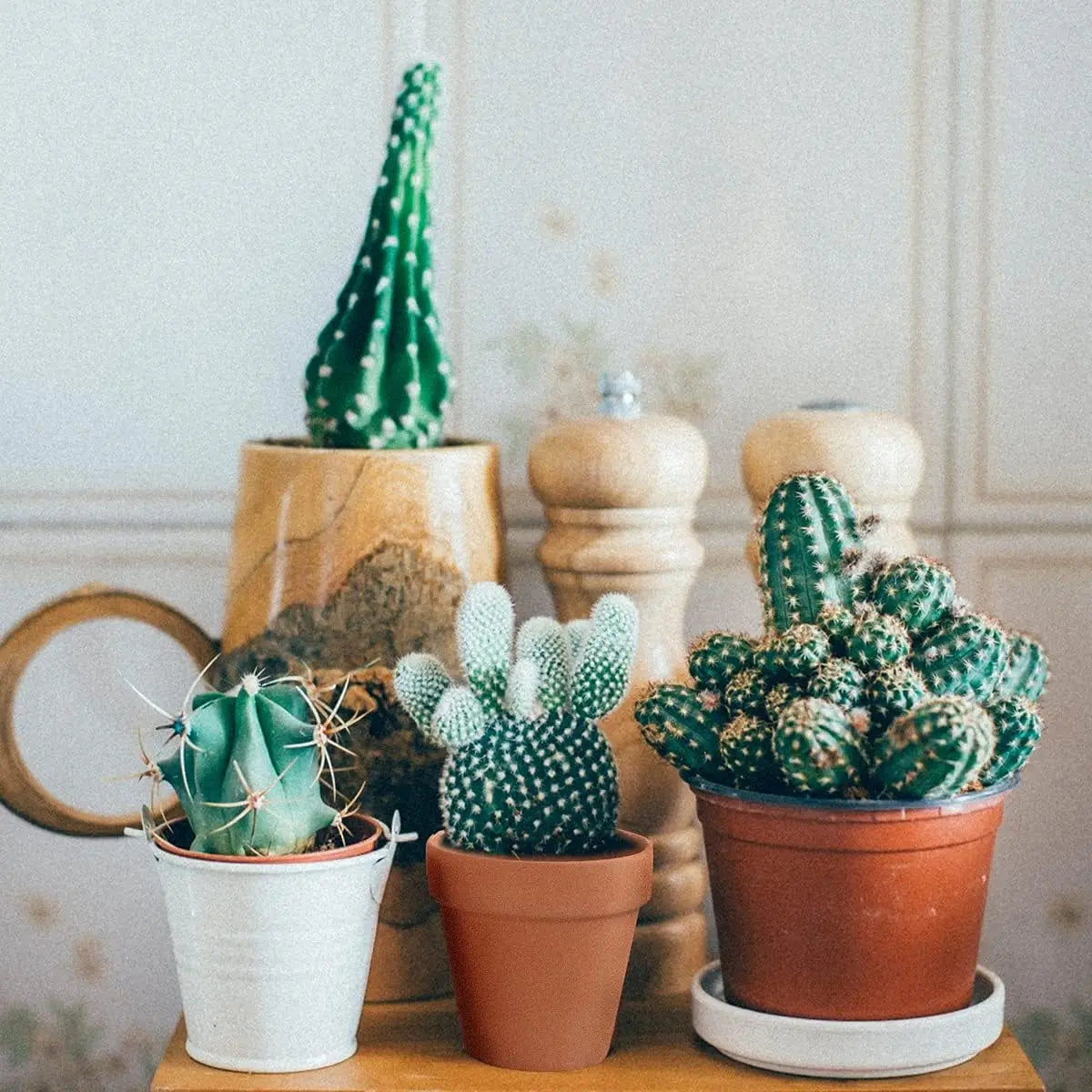 22-Pack 3 Inch Terracotta Pots with Drainage